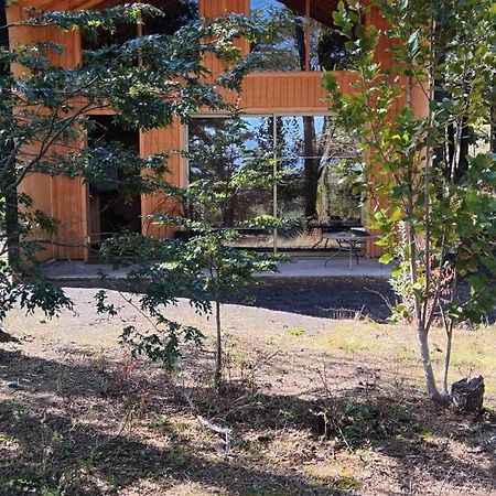 Cabanas Lodge Patagonia Truful Melipeuco Exterior photo