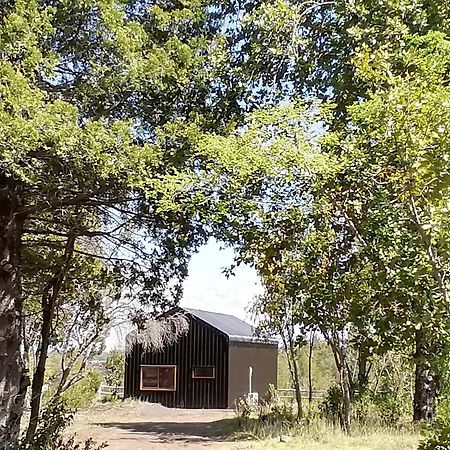 Cabanas Lodge Patagonia Truful Melipeuco Exterior photo
