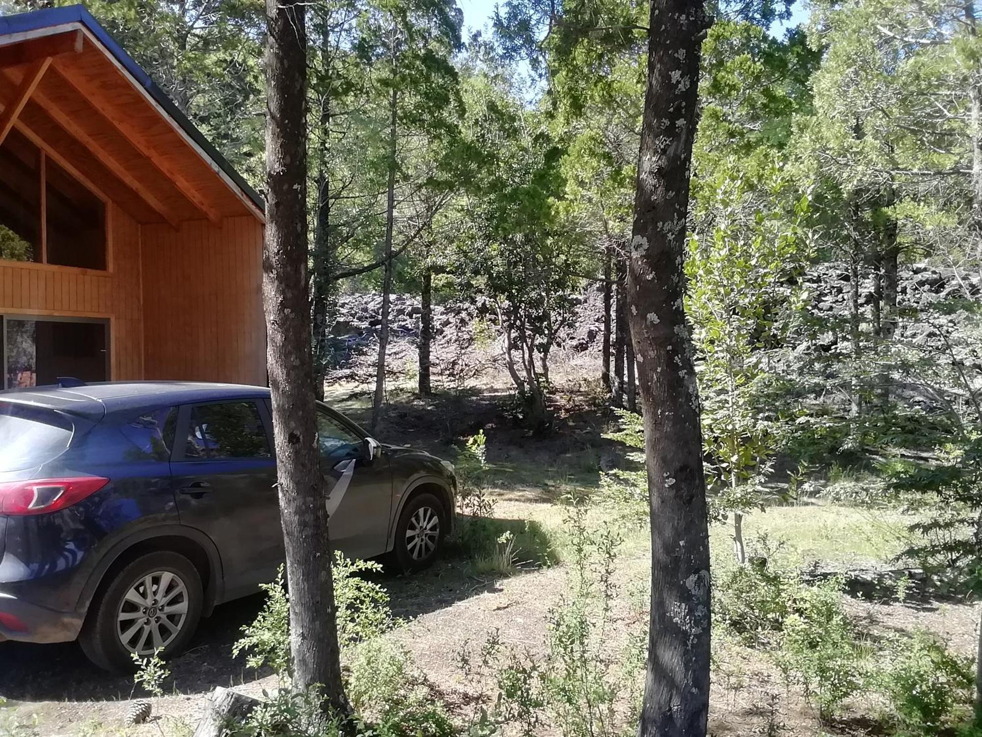 Cabanas Lodge Patagonia Truful Melipeuco Exterior photo