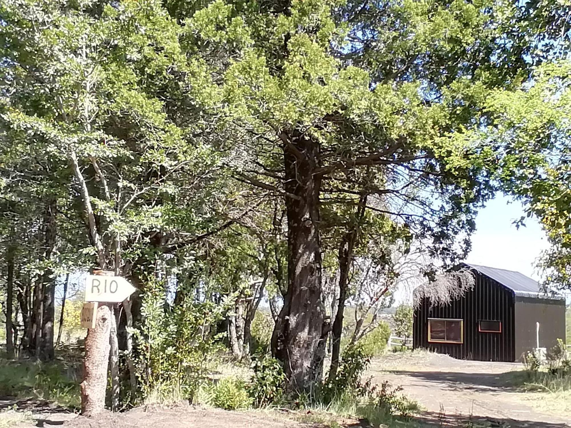 Cabanas Lodge Patagonia Truful Melipeuco Exterior photo